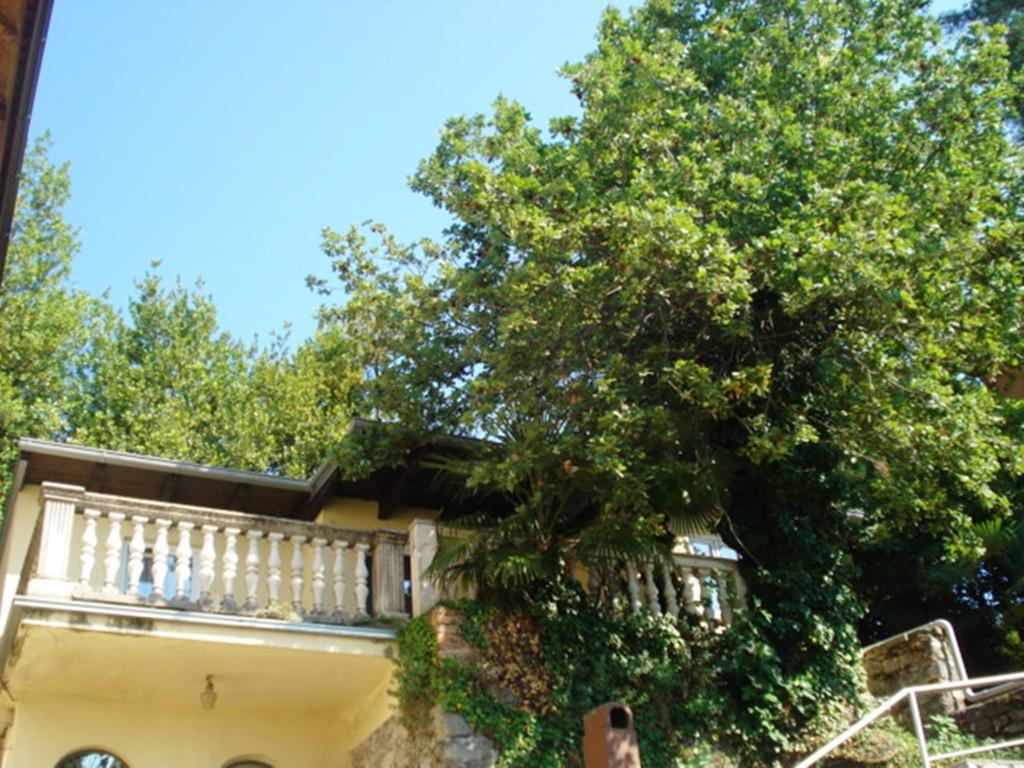 Atta * Opatija